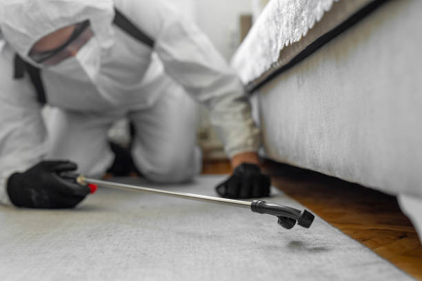 Professional Bed Bug Control technician working in Gibson City, IL