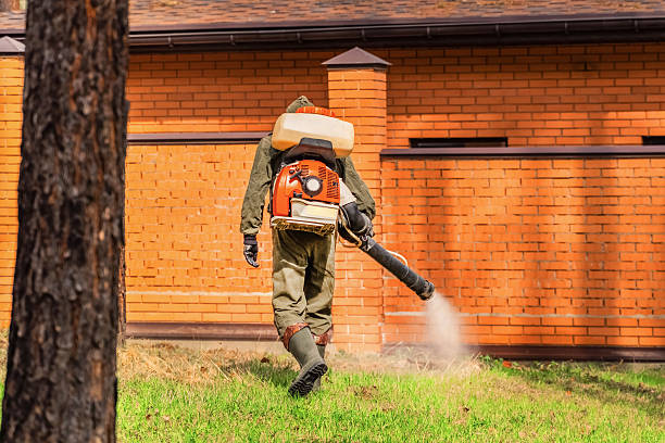 Trusted Ant Control service in Gibson City, IL - Nex Pest Control